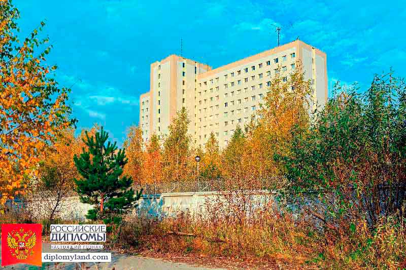 Диплом в Балашихе Балашиха