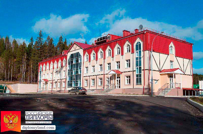 Диплом в Нижнем Тагиле Нижний Тагил